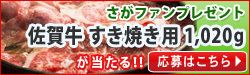 佐賀牛すき焼き用