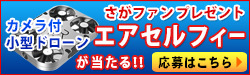 エアセルフィー