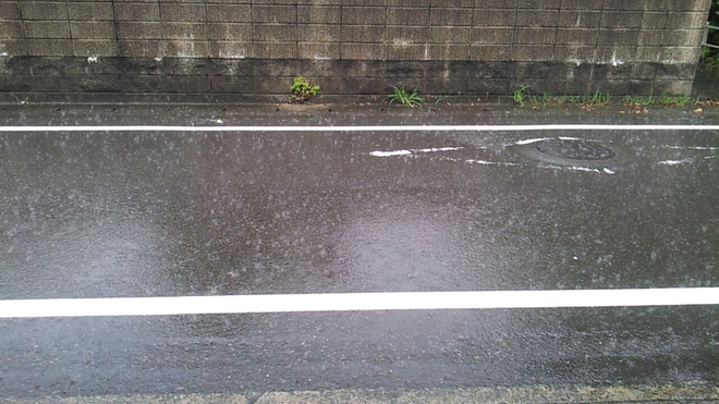 休日に雨