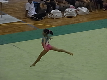 2015 西日本ジュニア体操競技選手権大会