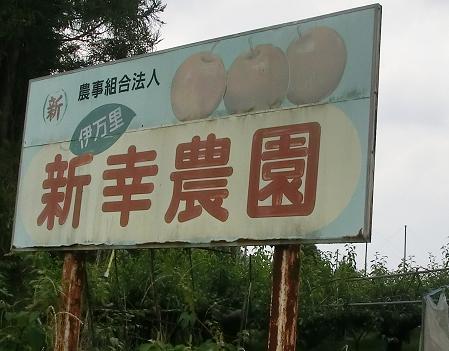 新幸農園の梨も大きくなってます。