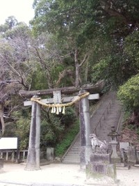 お粥試し