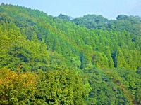４連休２日目