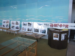 ドラマ『怪獣を呼ぶ男』パネル展in佐賀空港