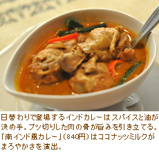 南インド風カレー