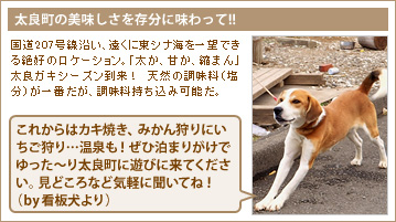 太良町の美味しさを存分に味わって!!