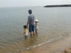 今さらですが・・・