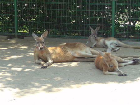 海の中道海浜公園