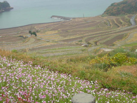 福島の棚田