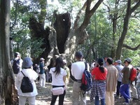 平成18年(2006年）９月23日（祝）開催