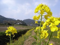 平成19年(2007年）３月21日(祝）開催