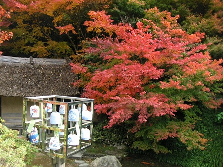 大川内山の紅葉