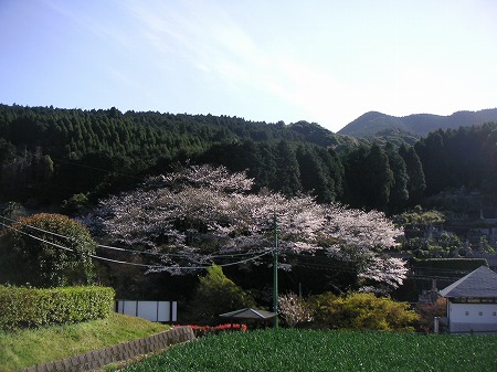 伊万里・大川内山だより＊＊