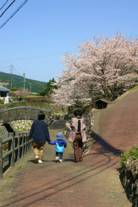 『春の窯元市』　最終日！