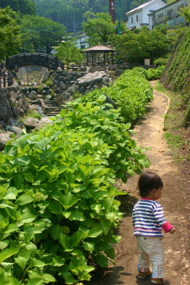 お散歩。