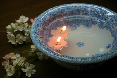桜の季節。