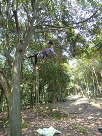 始動！！プロジェクト　ツリーハウスビレッジ