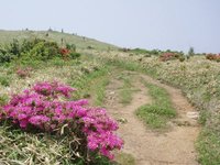 天山に登ろう！！