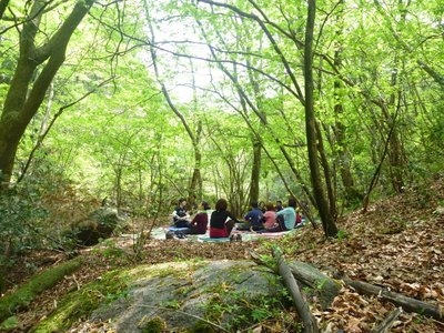 11月13日　『秋の森林浴ヨガ&ハイキング』 開催要項