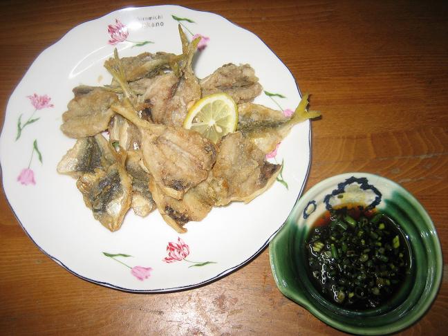 行って来ました～ヽ（￣￣∇￣￣）ノ ﾗﾝﾗﾝ♪