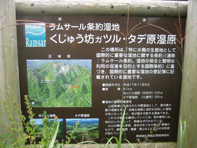 ドライブ