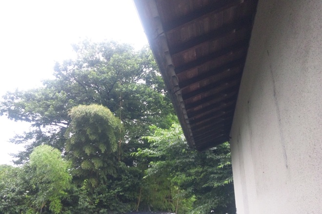雨宿りなう