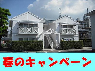 春のキャンペーン２