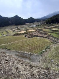 ウクライナ戦時と日本の食糧危機