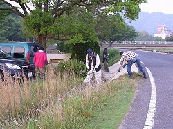 早朝草刈り奉仕作業