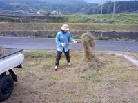 本日の営農　２
