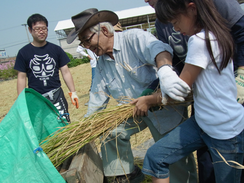 人米酒プロジェクト　稲刈り