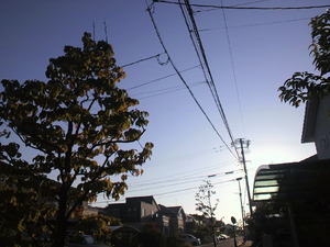 おはようございます (^_^)v♪