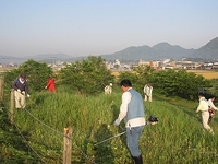 早朝草刈り例会