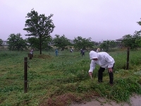 ２０１０年５月１９日（水）早朝草刈例会