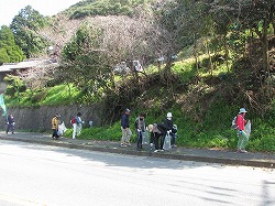 三樹めぐりウォーキングと沿道ゴミ拾い