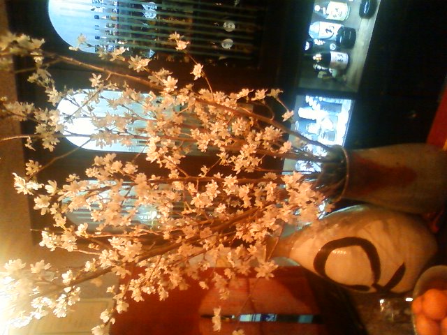 啓翁桜