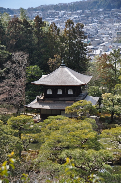 『お彼岸』のお話し。     (=^ェ^=)