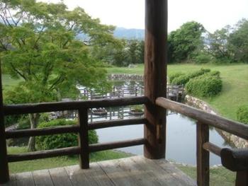 朝日山のあざみ
