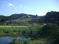 鳥栖の栖の宿