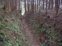 葛籠城