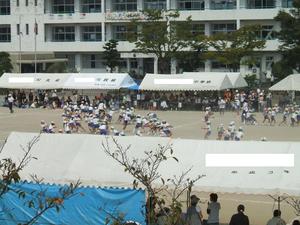 早稲田芸人、慶応芸人、附設芸人？