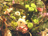 mother's day