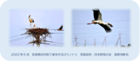 2022年6月以降のICT教室コース日程のお知らせです 2022/06/01 09:00:02