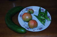 野菜の収穫