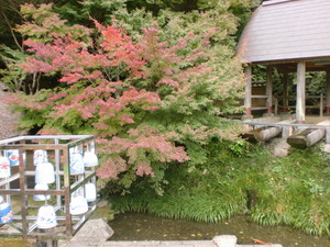 紅葉し始めた、秘窯の里・大川内山～！
