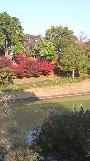 少しだけ紅葉？
